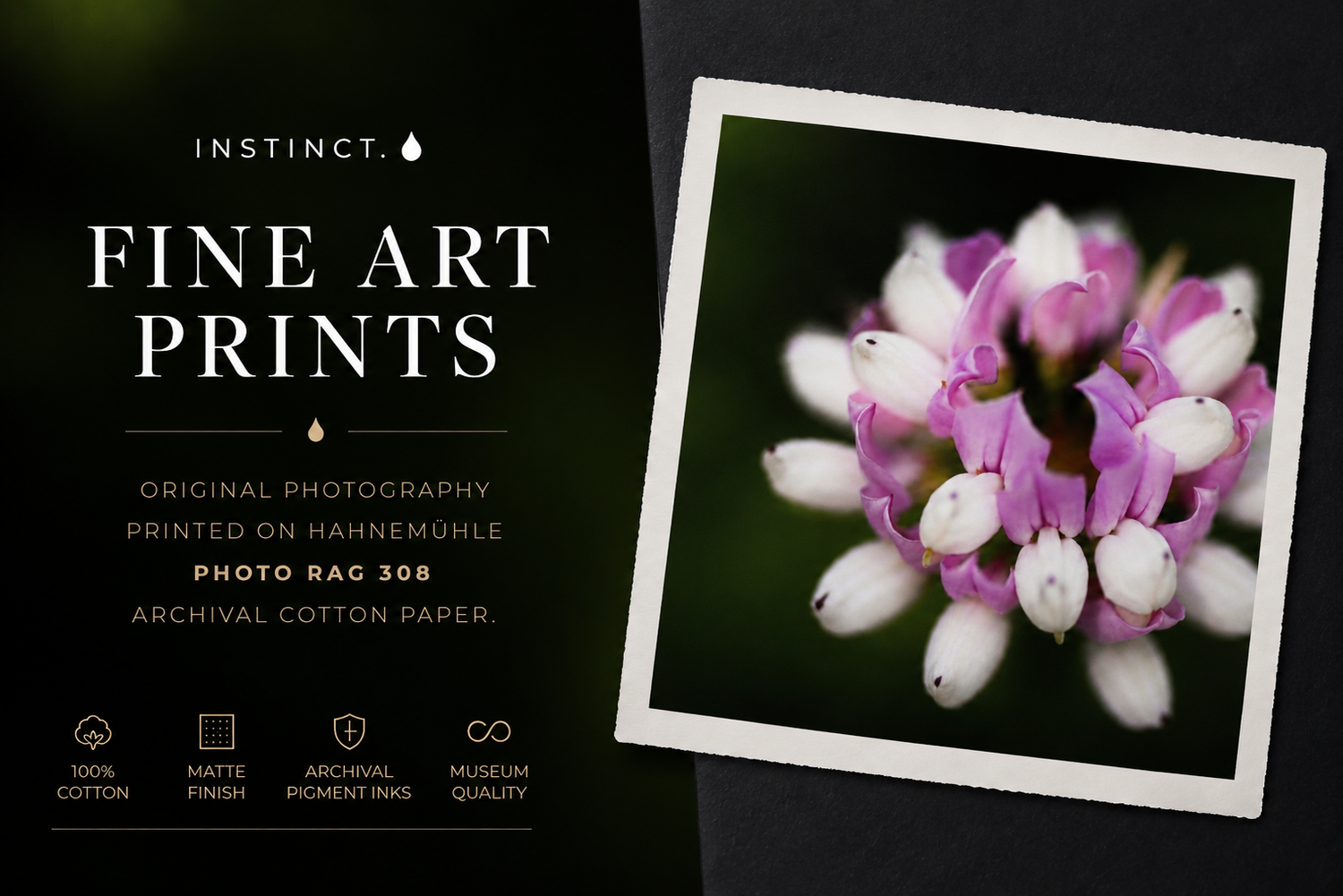 Instinct. Fine Art Prints