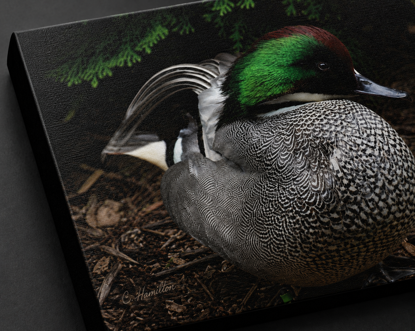 INSTINCT. Depth — Display Ground