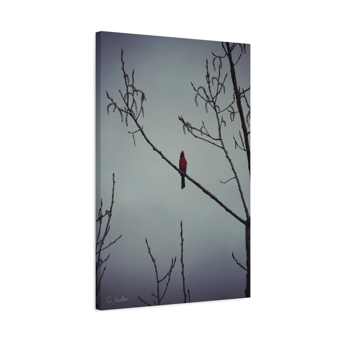 INSTINCT. Depth — Silent Perch