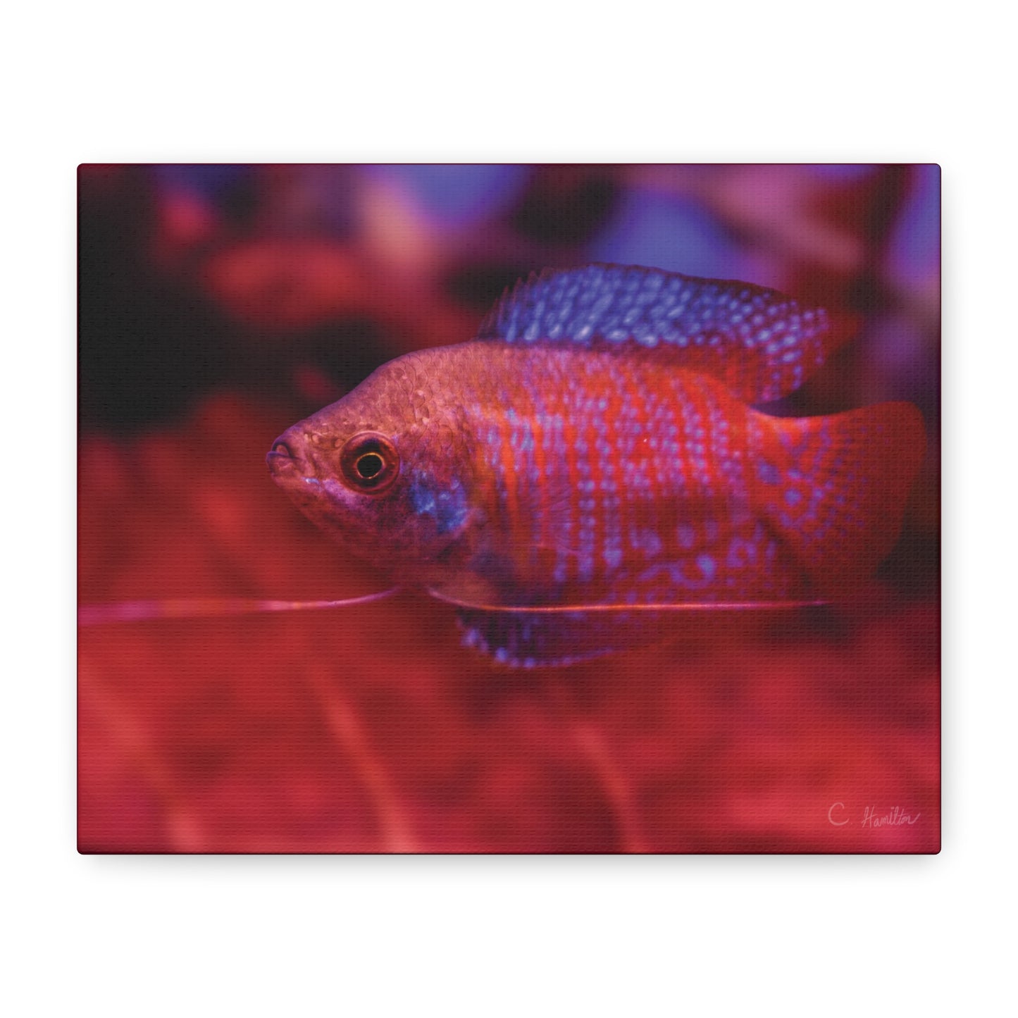 INSTINCT. Depth — Ember Drift