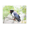 INSTINCT. Canvas — Perch Point