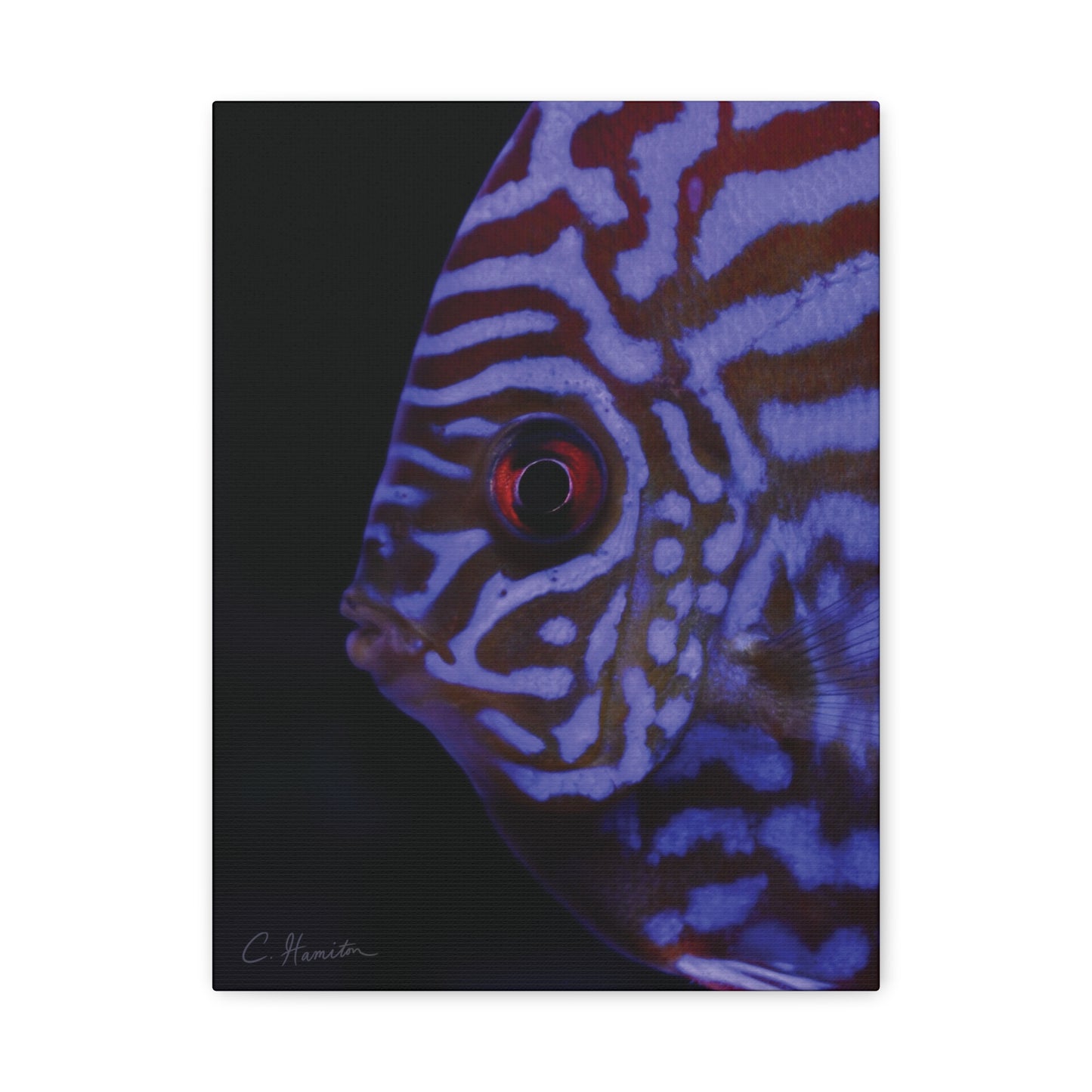INSTINCT. Depth — Controlled Pattern