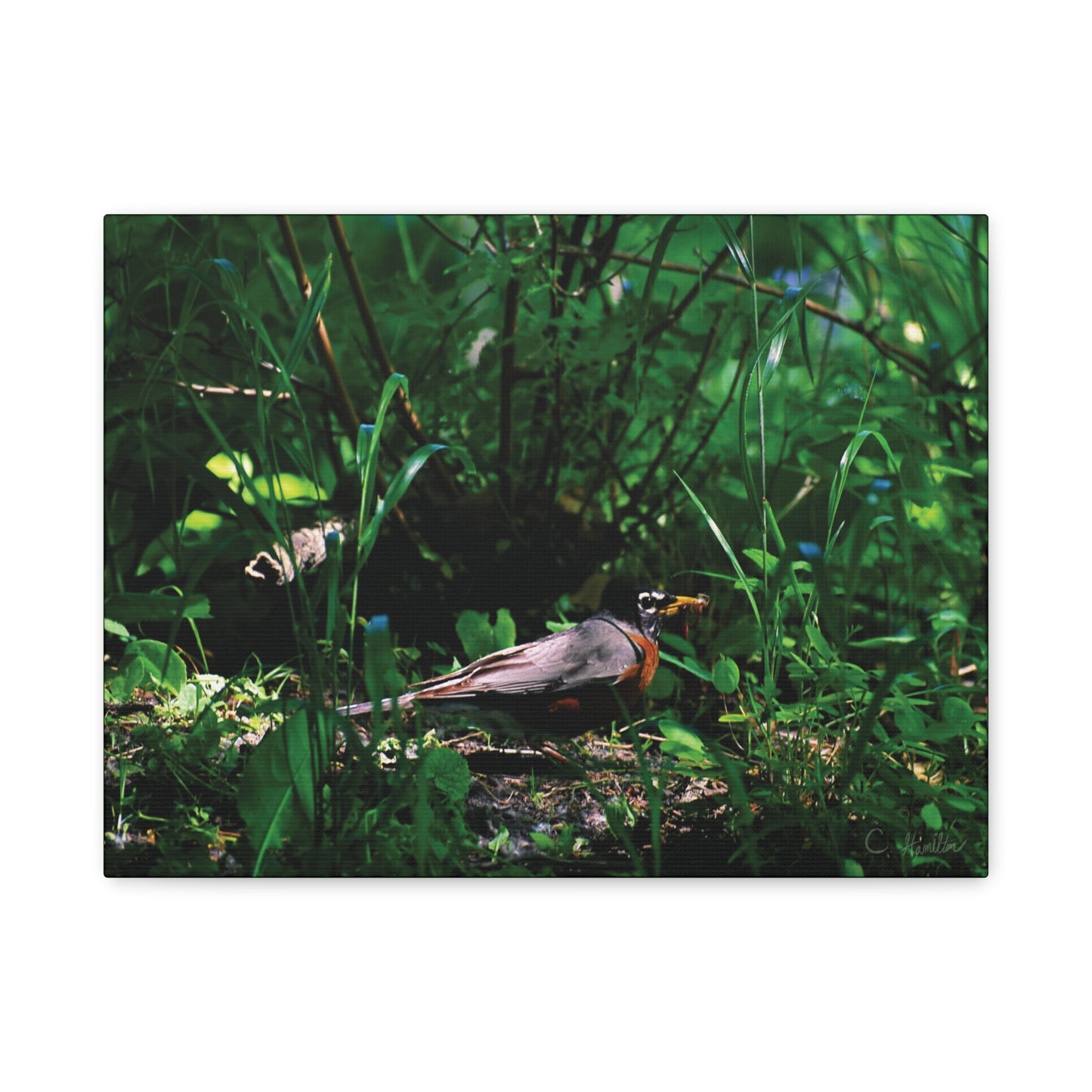 INSTINCT. Depth — Gathering Light