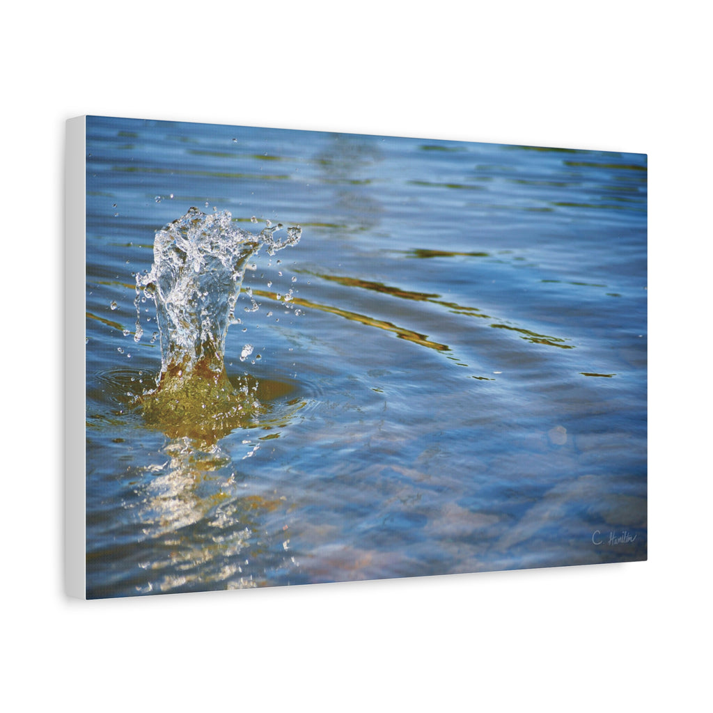 INSTINCT. Canvas — Surface Break