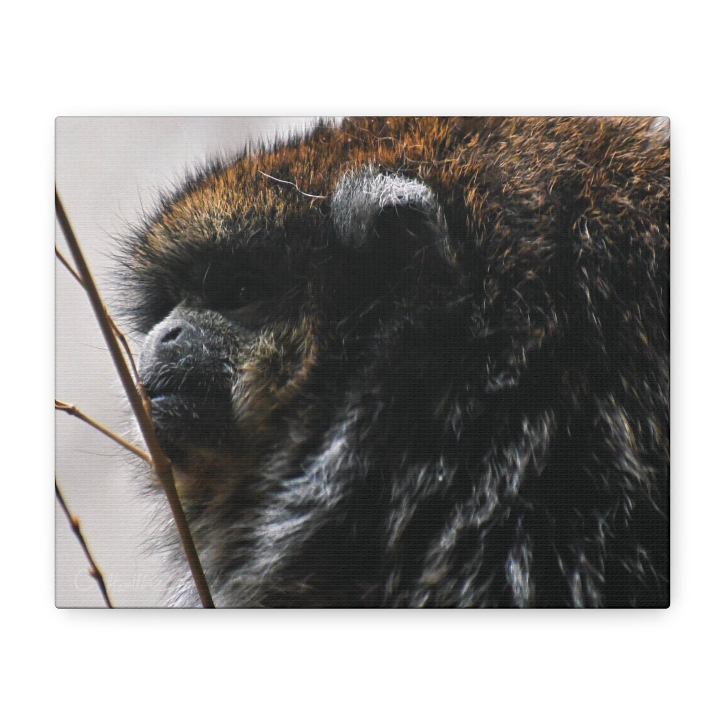 INSTINCT. Depth — Silent Watch