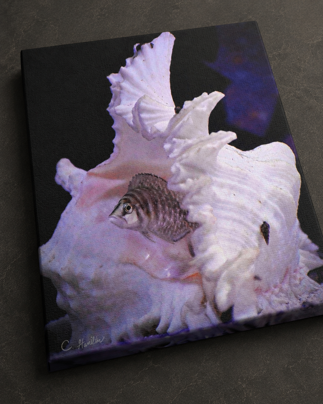 INSTINCT. Depth — Shellbound