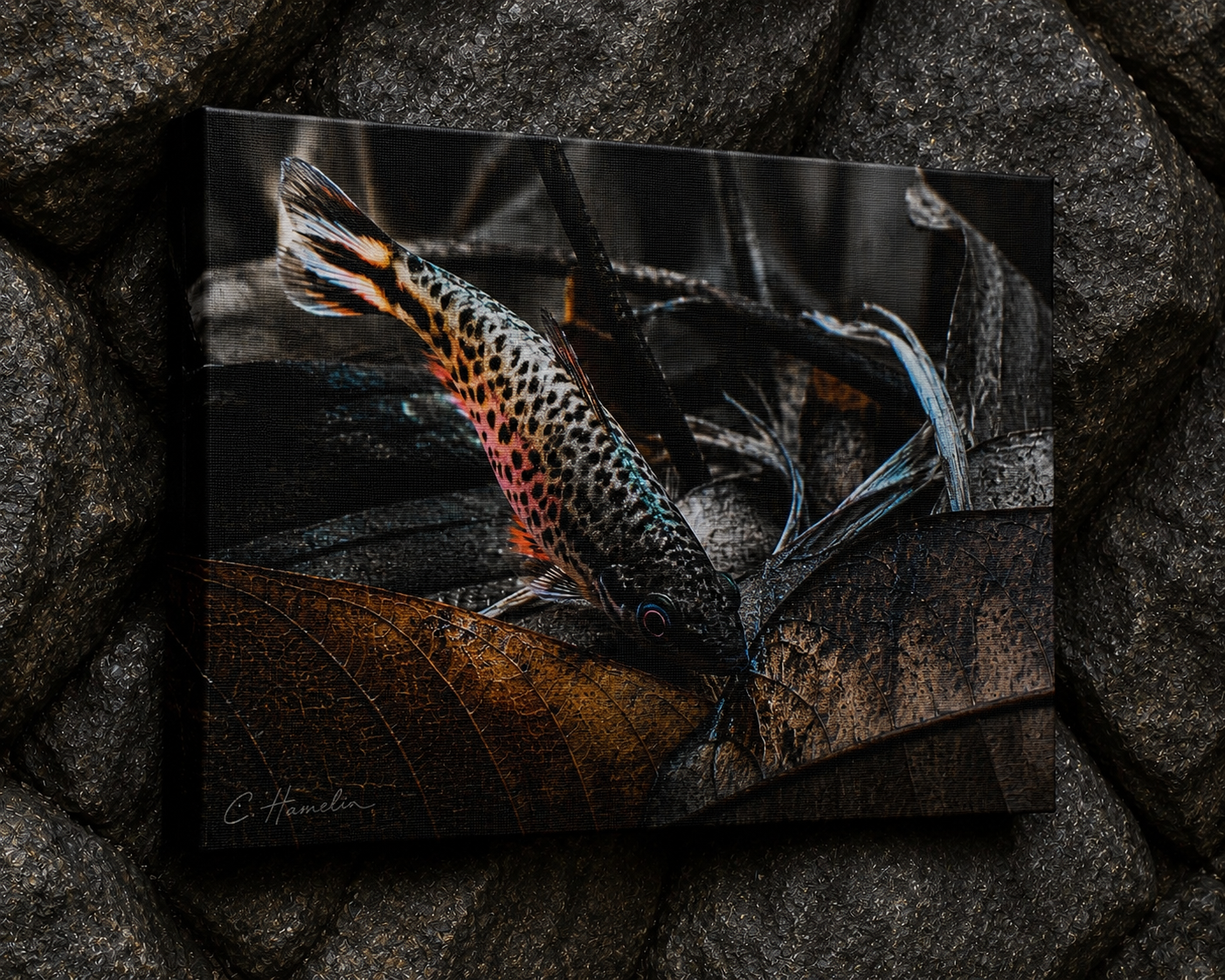 INSTINCT. Depth — Edge Work