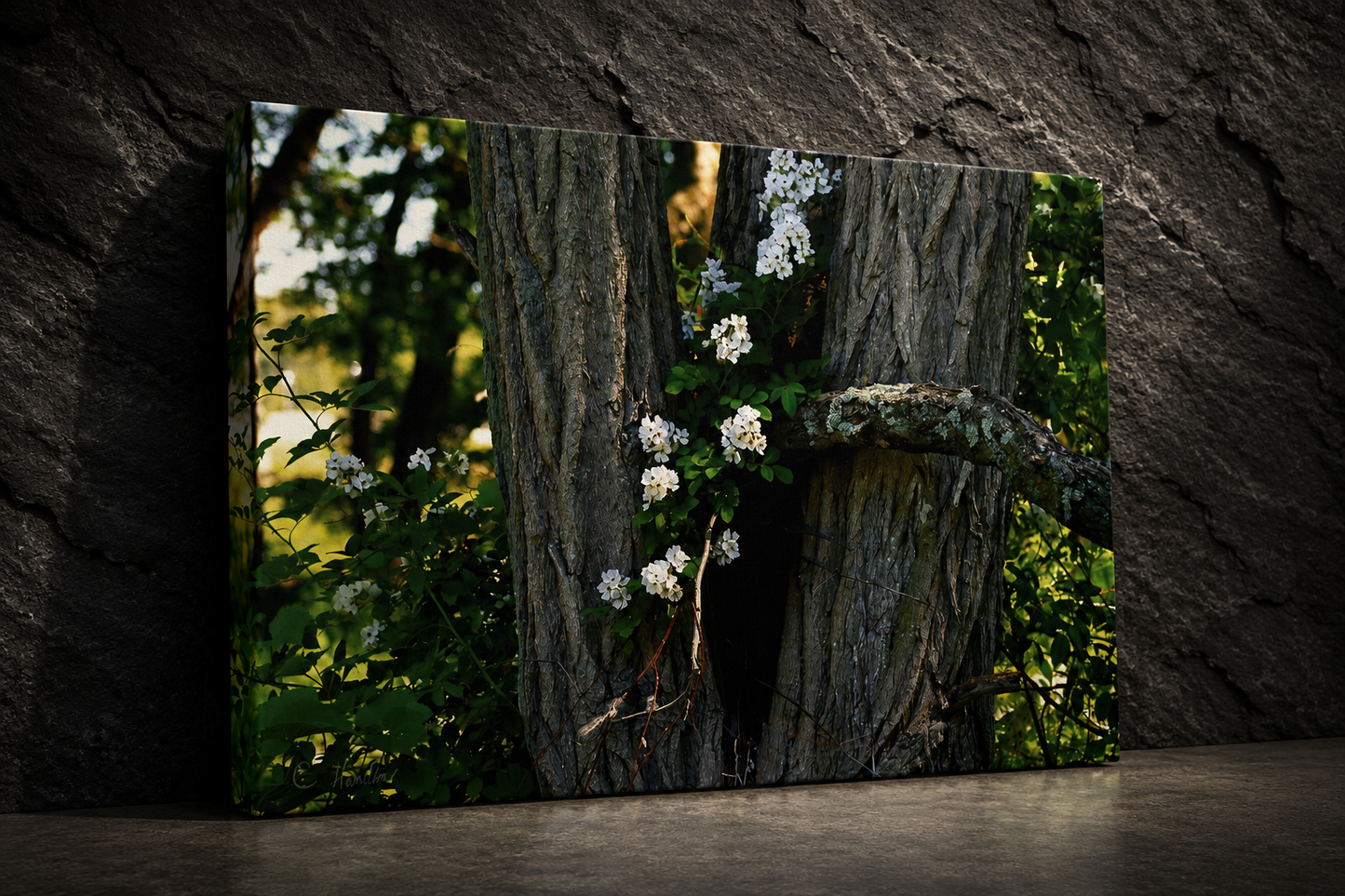 INSTINCT. Depth — Rooted Renewal