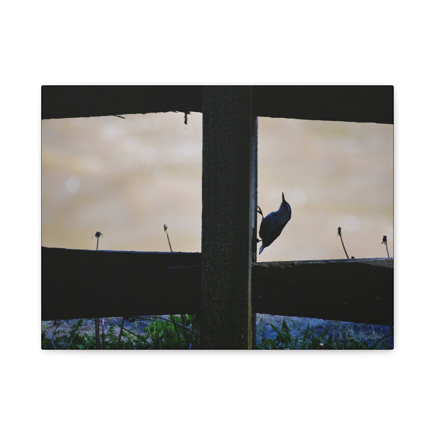 INSTINCT. Depth — Window Watch