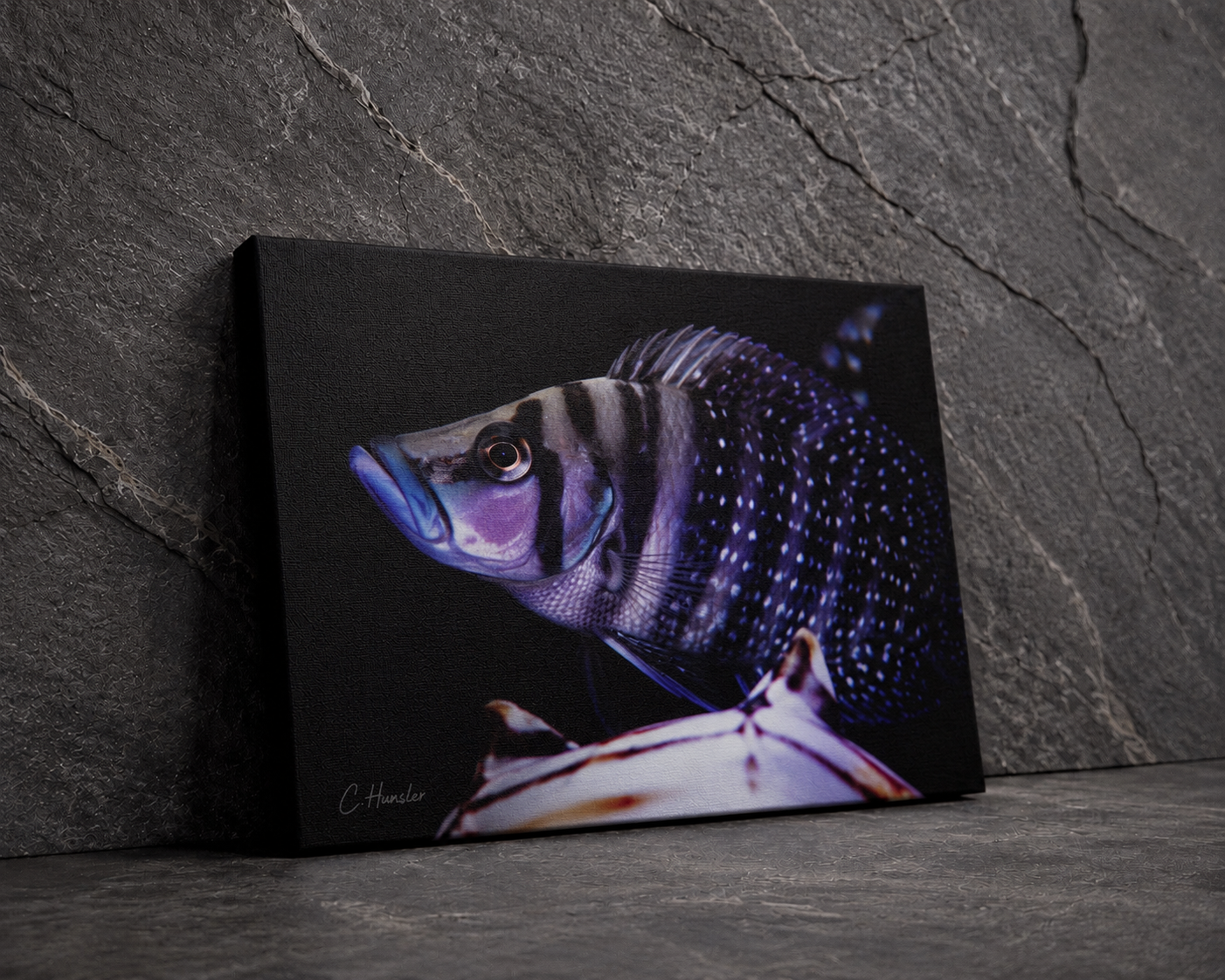 INSTINCT. Depth — Silent Pressure