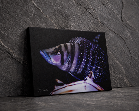 INSTINCT. Depth — Silent Pressure