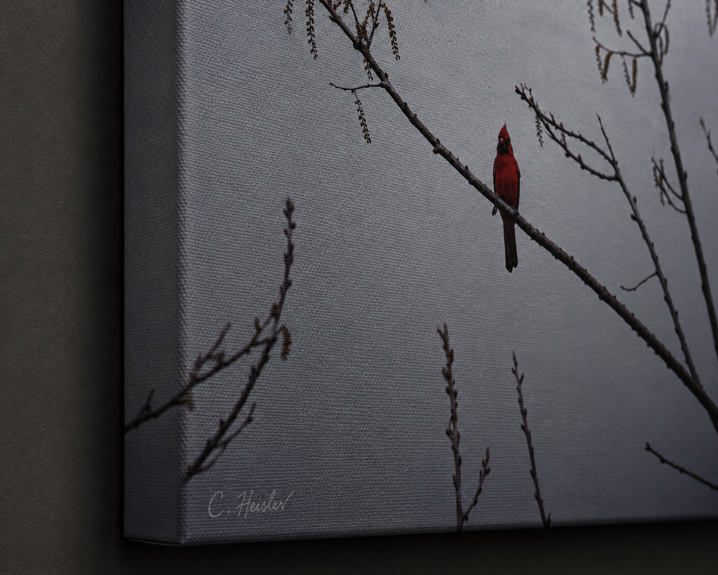 INSTINCT. Depth — Silent Perch