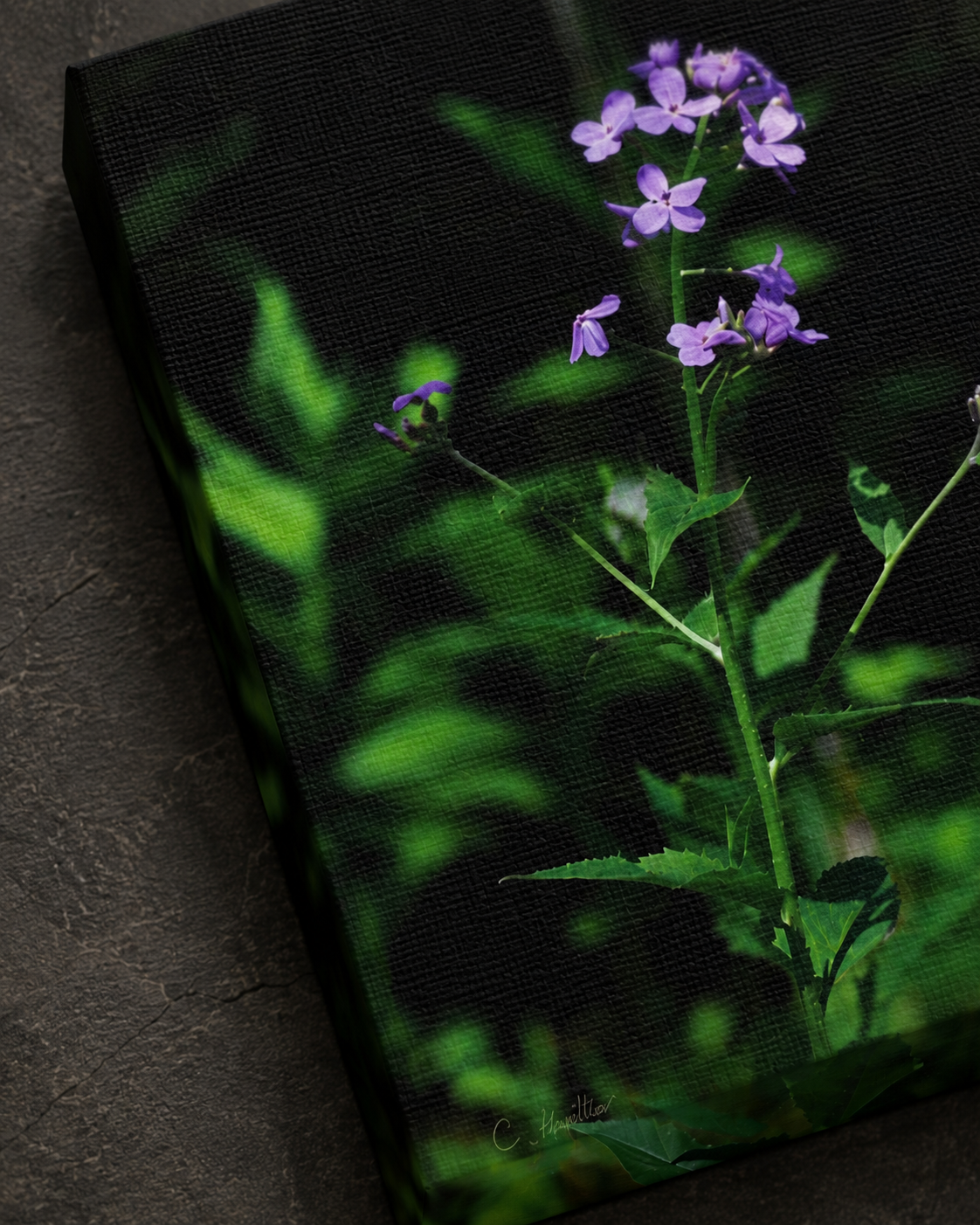INSTINCT. Depth — Quiet Bloom