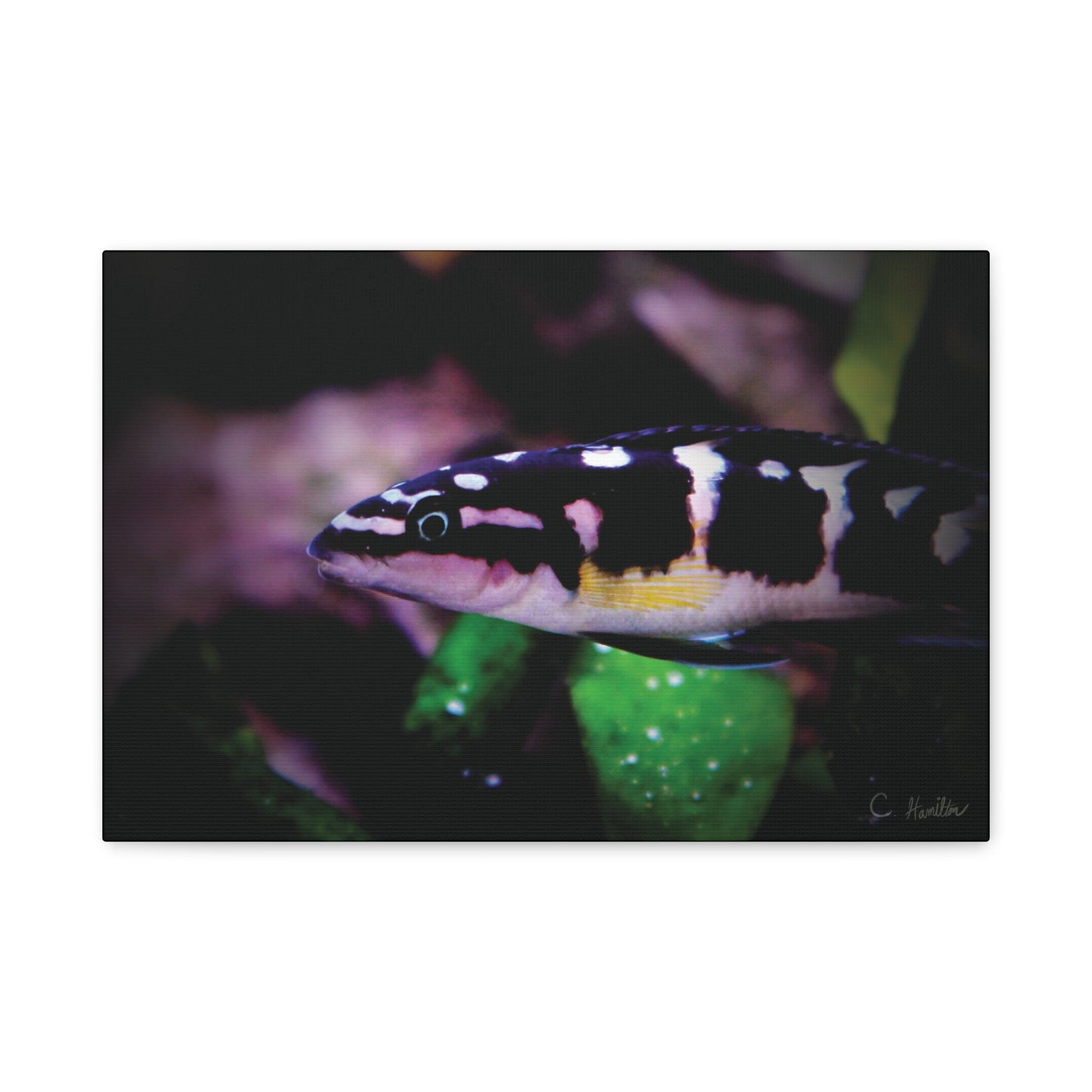 INSTINCT. Depth — Dark Current