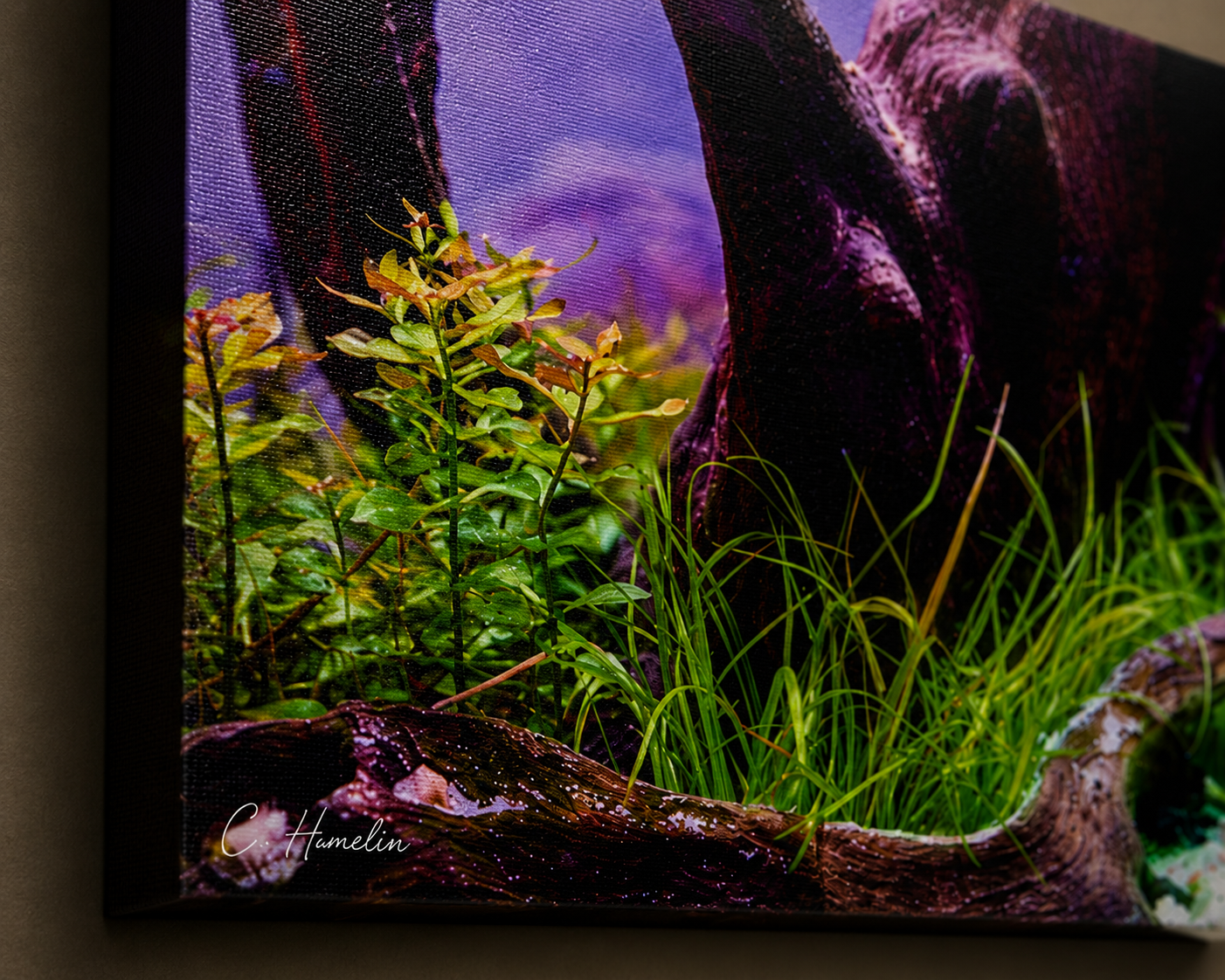 INSTINCT. Depth — Rooted