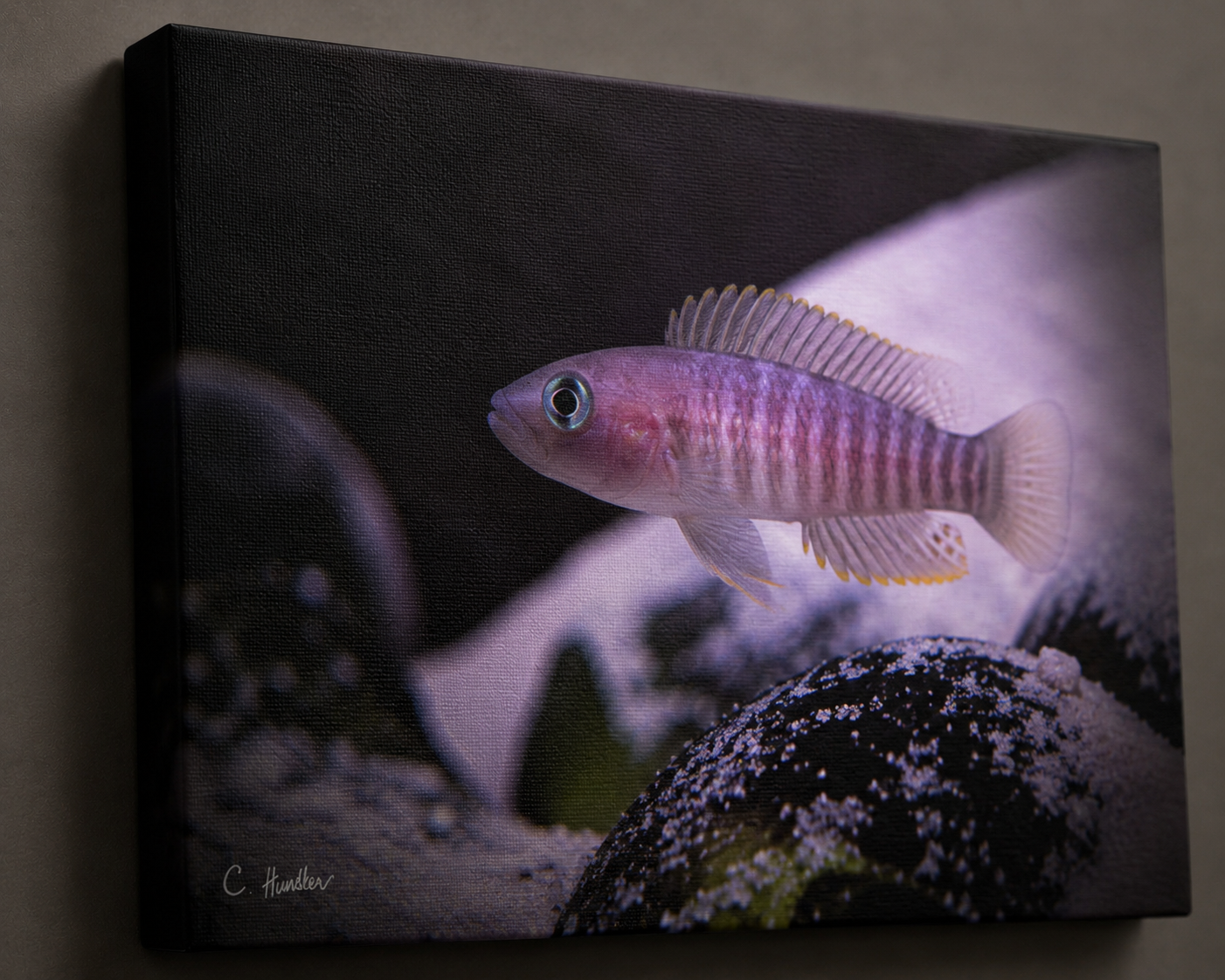 INSTINCT. Depth — Emergence