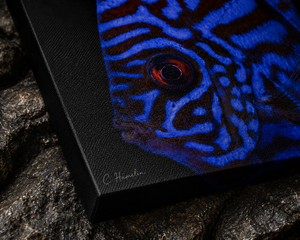 INSTINCT. Depth — Controlled Pattern