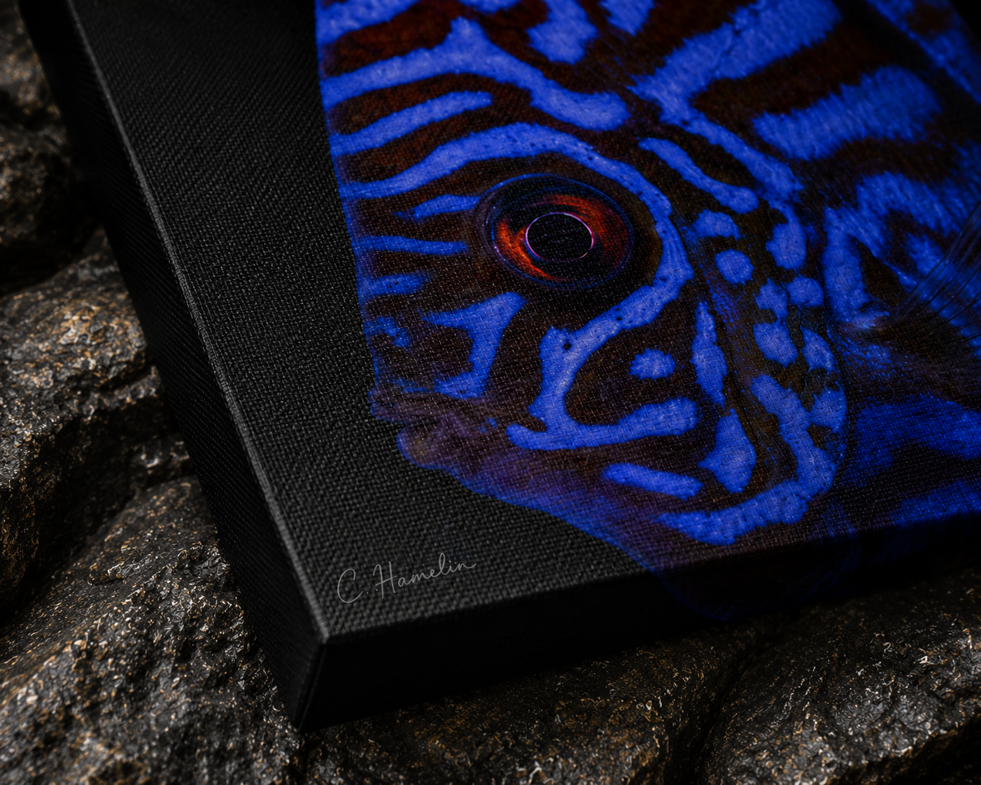 INSTINCT. Depth — Controlled Pattern