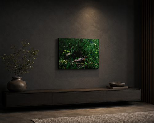 INSTINCT. Canvas — Gathering Light