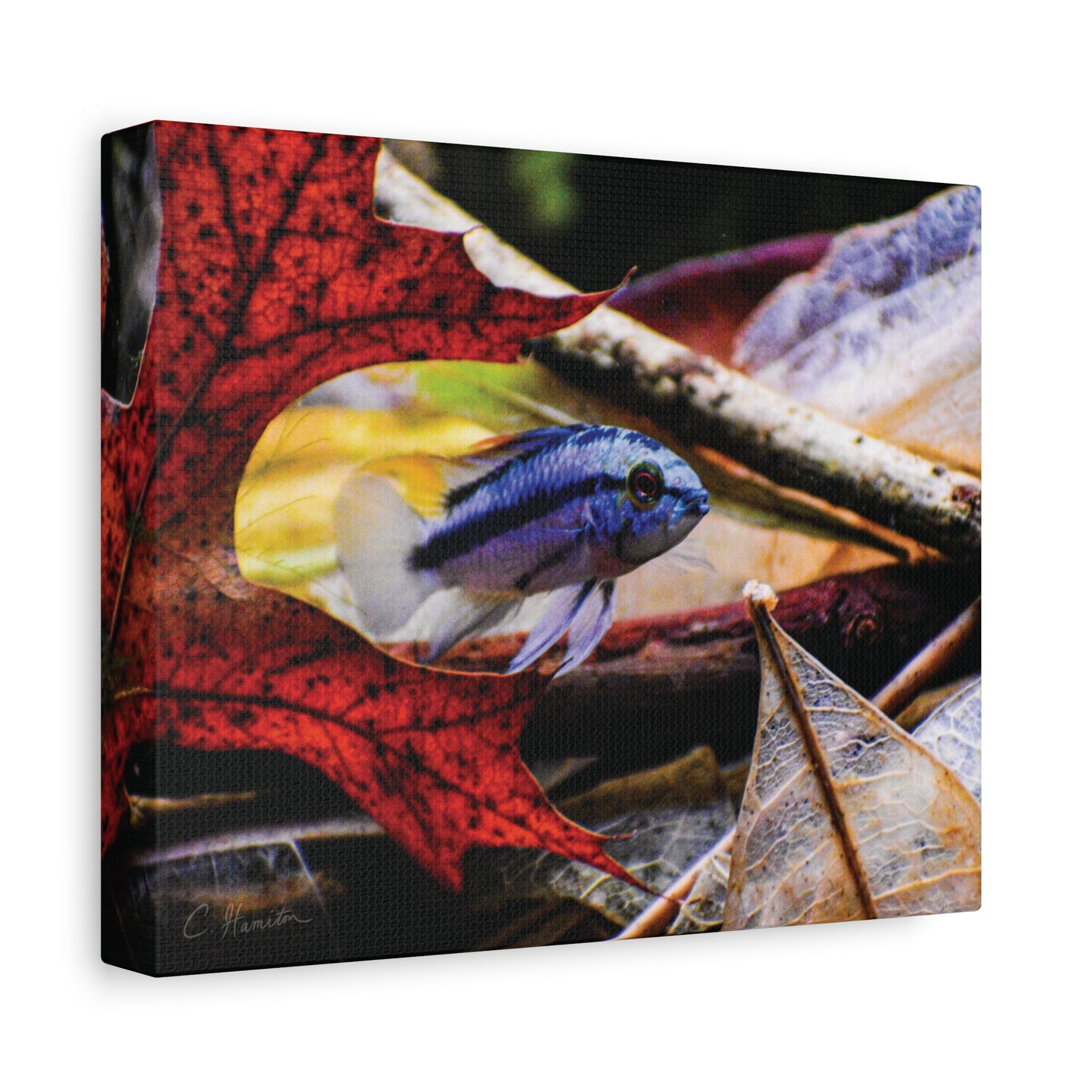 INSTINCT. Depth — Red Leaf