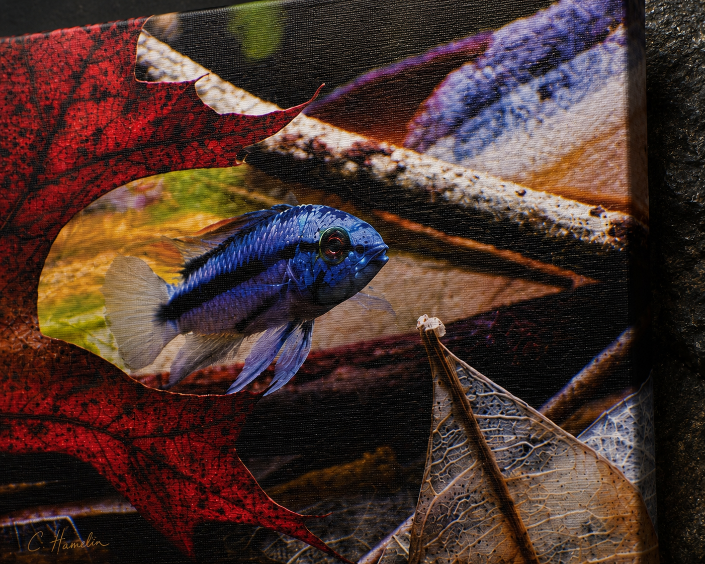 INSTINCT. Depth — Red Leaf
