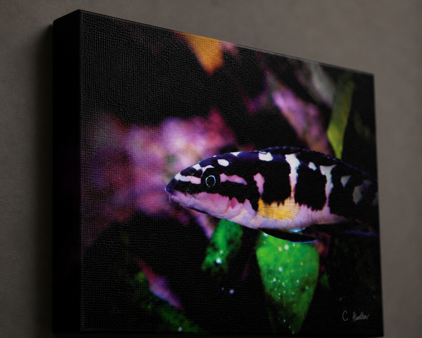 INSTINCT. Depth — Dark Current