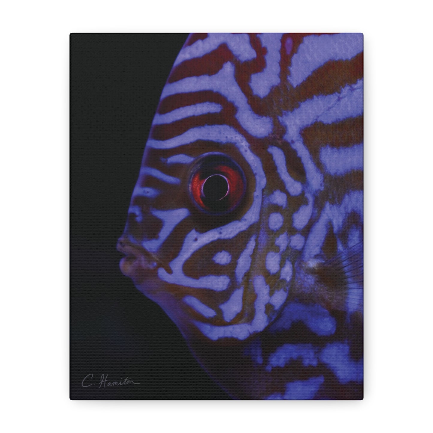 INSTINCT. Depth — Controlled Pattern