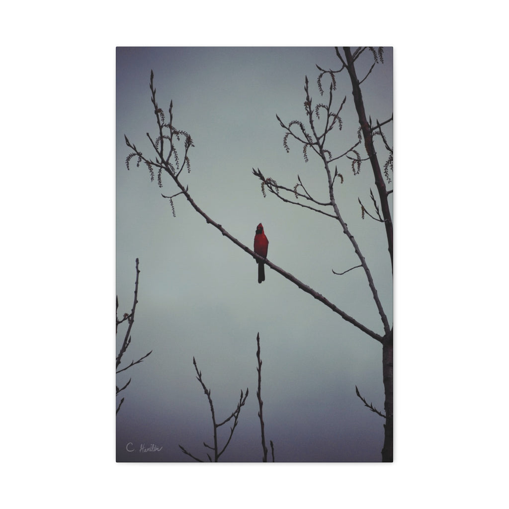 INSTINCT. Depth — Silent Perch