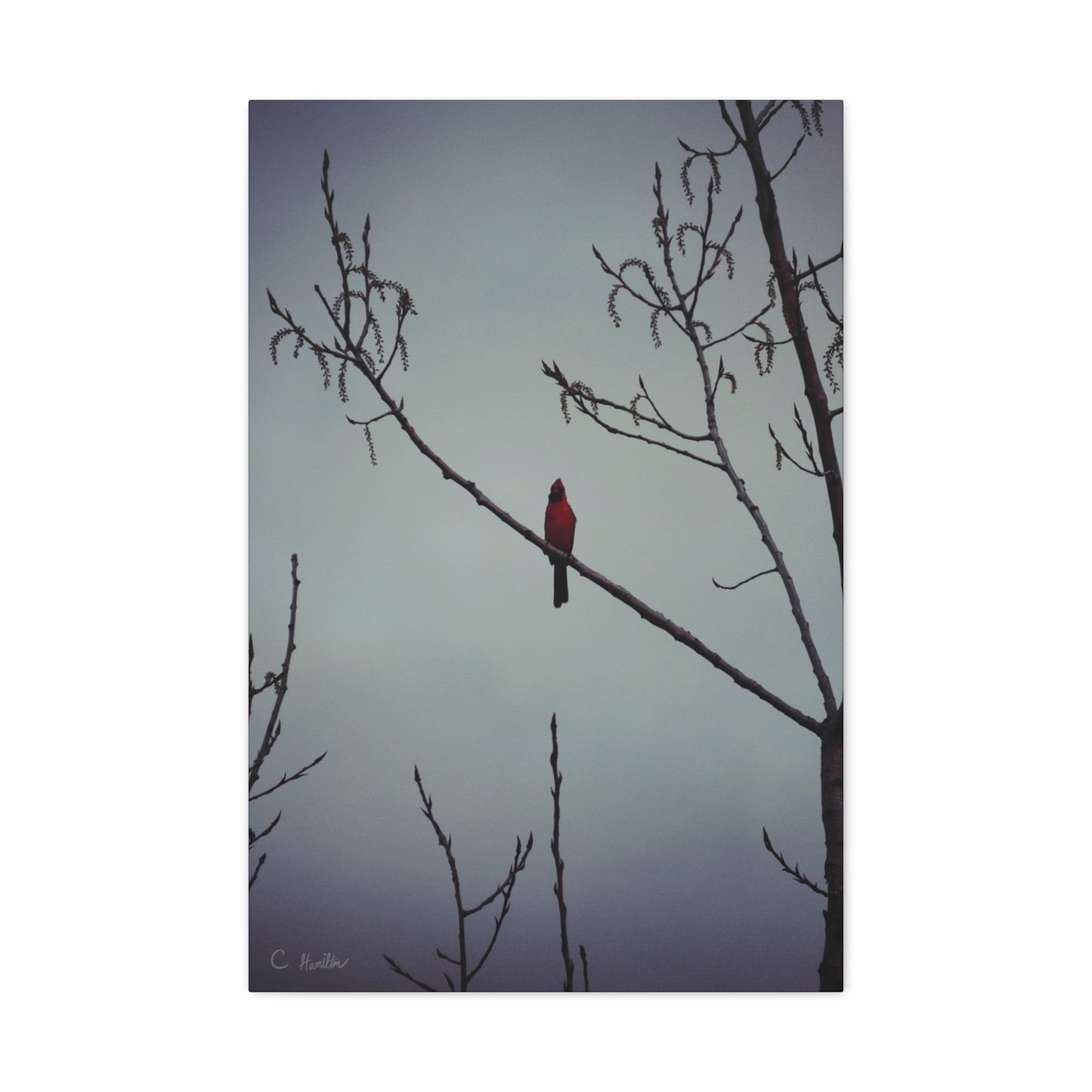 INSTINCT. Depth — Silent Perch