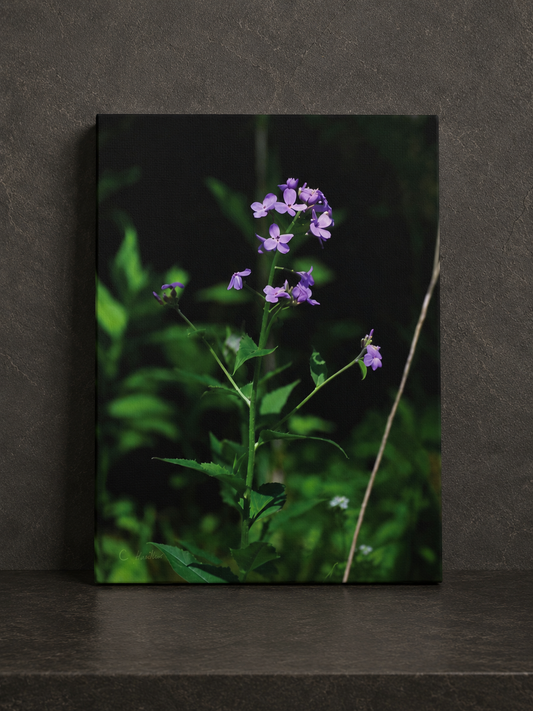 INSTINCT. Depth — Quiet Bloom
