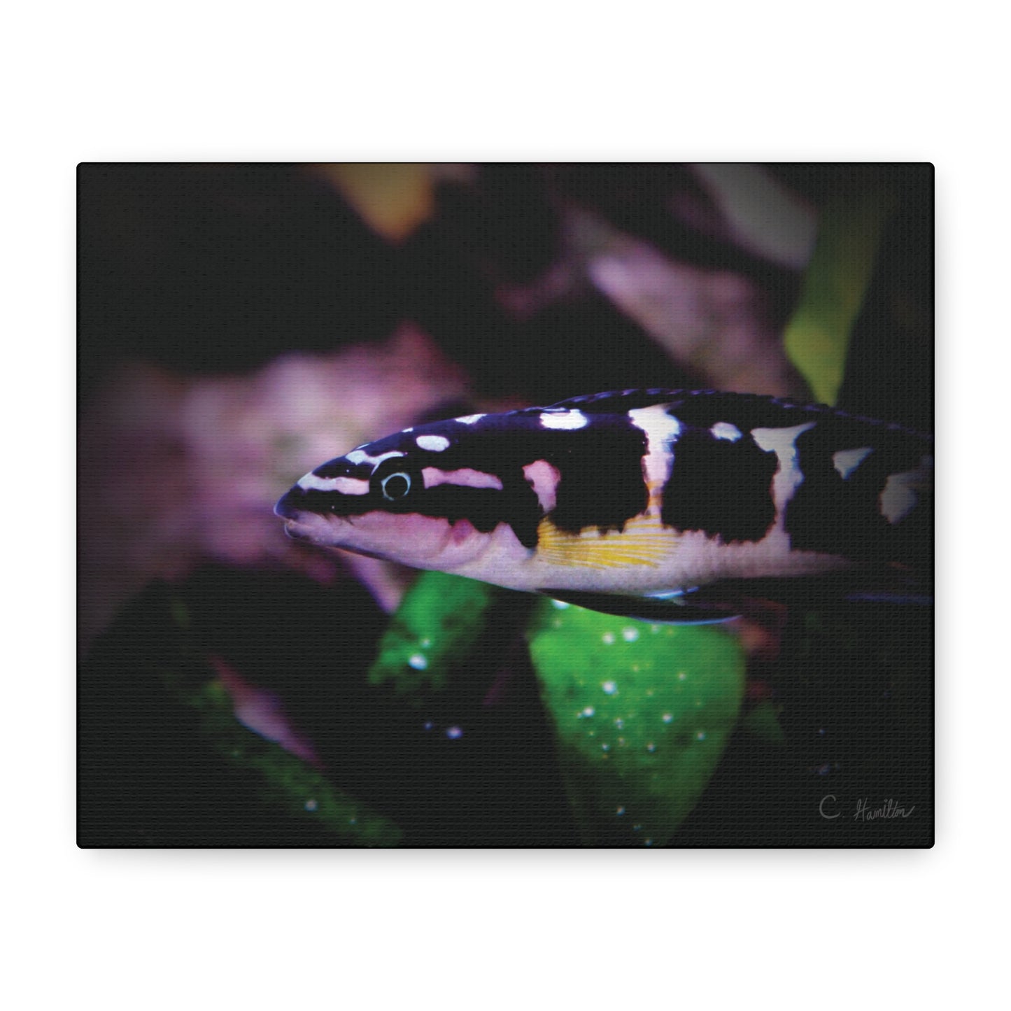 INSTINCT. Depth — Dark Current