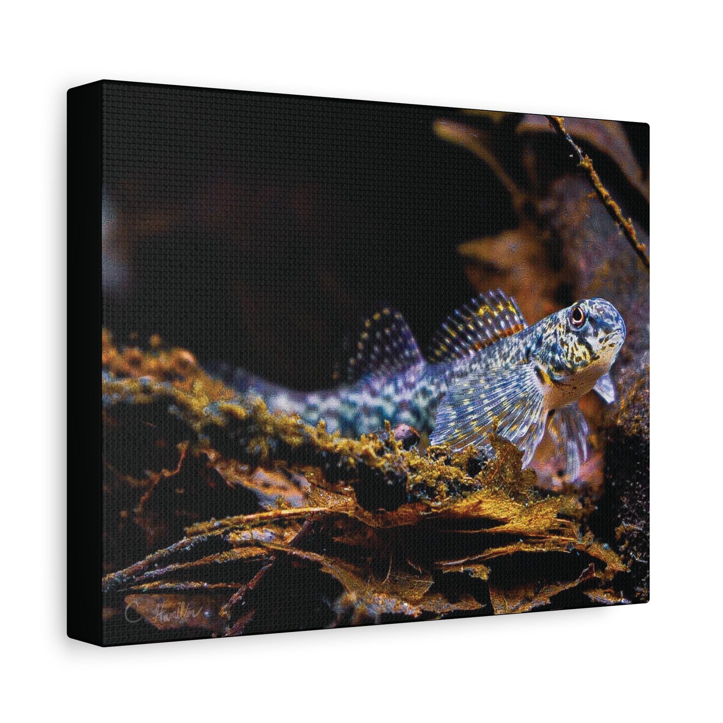 INSTINCT. Depth — Leaf Litter