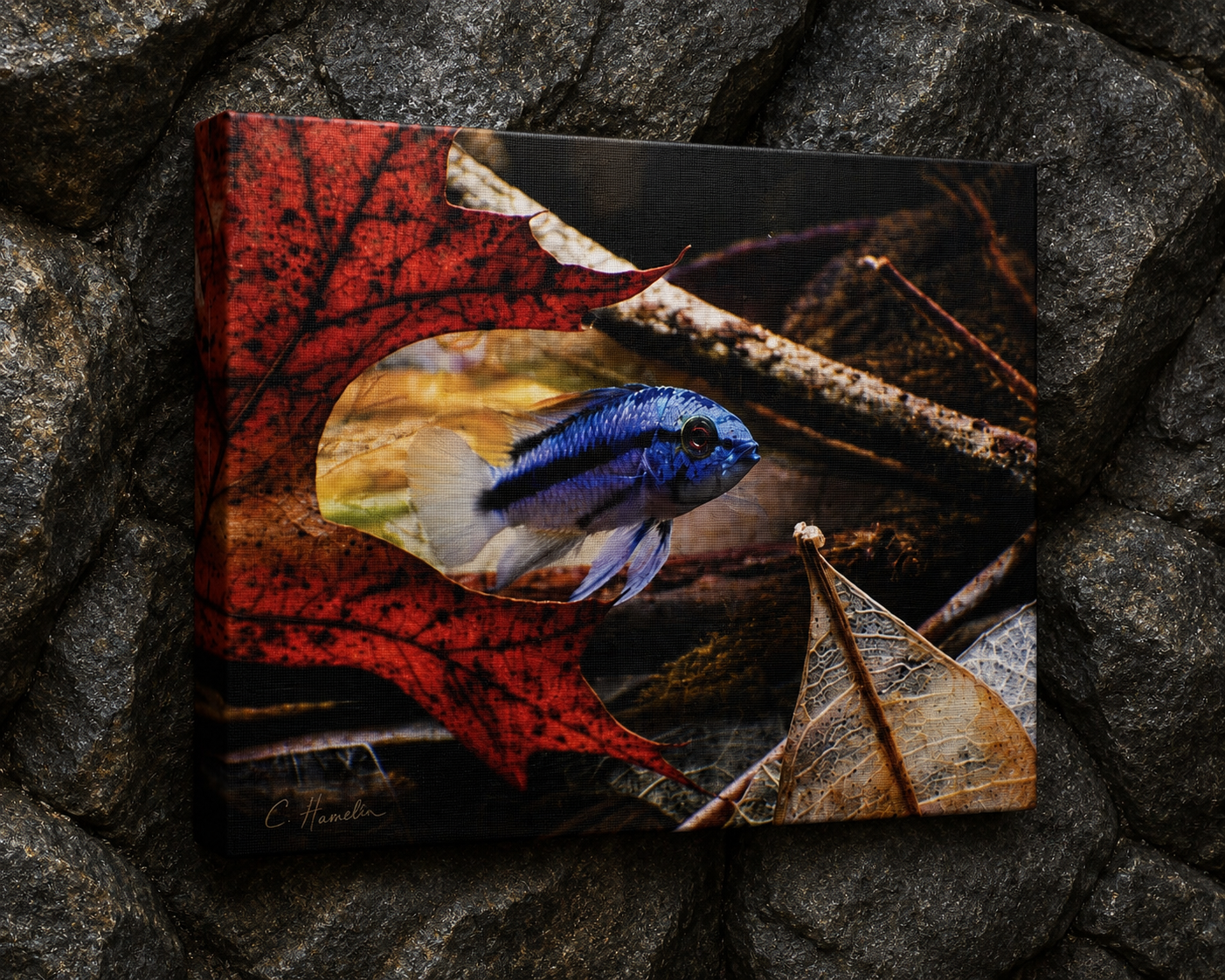 INSTINCT. Depth — Red Leaf