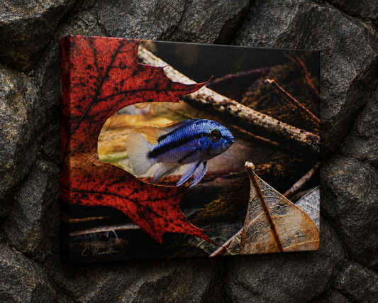 INSTINCT. Depth — Red Leaf