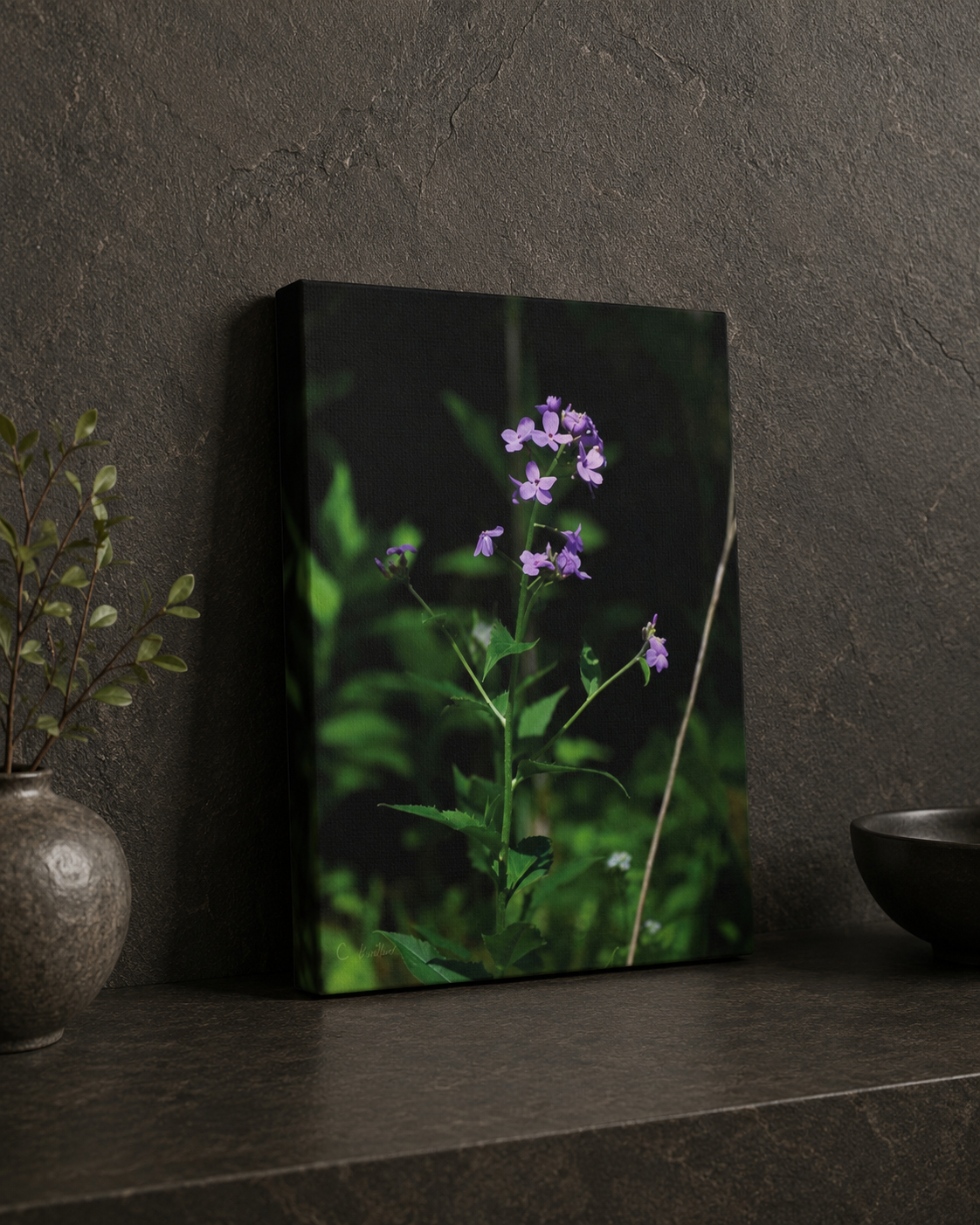 INSTINCT. Depth — Quiet Bloom