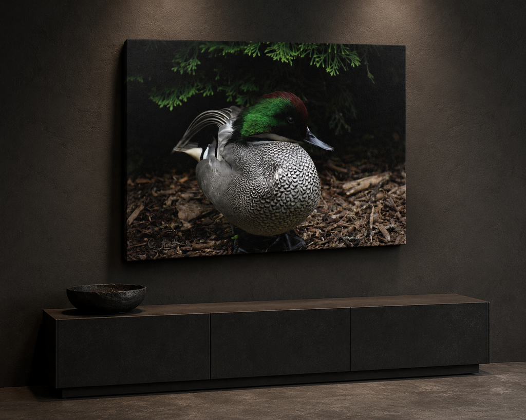 INSTINCT. Canvas — Display Ground