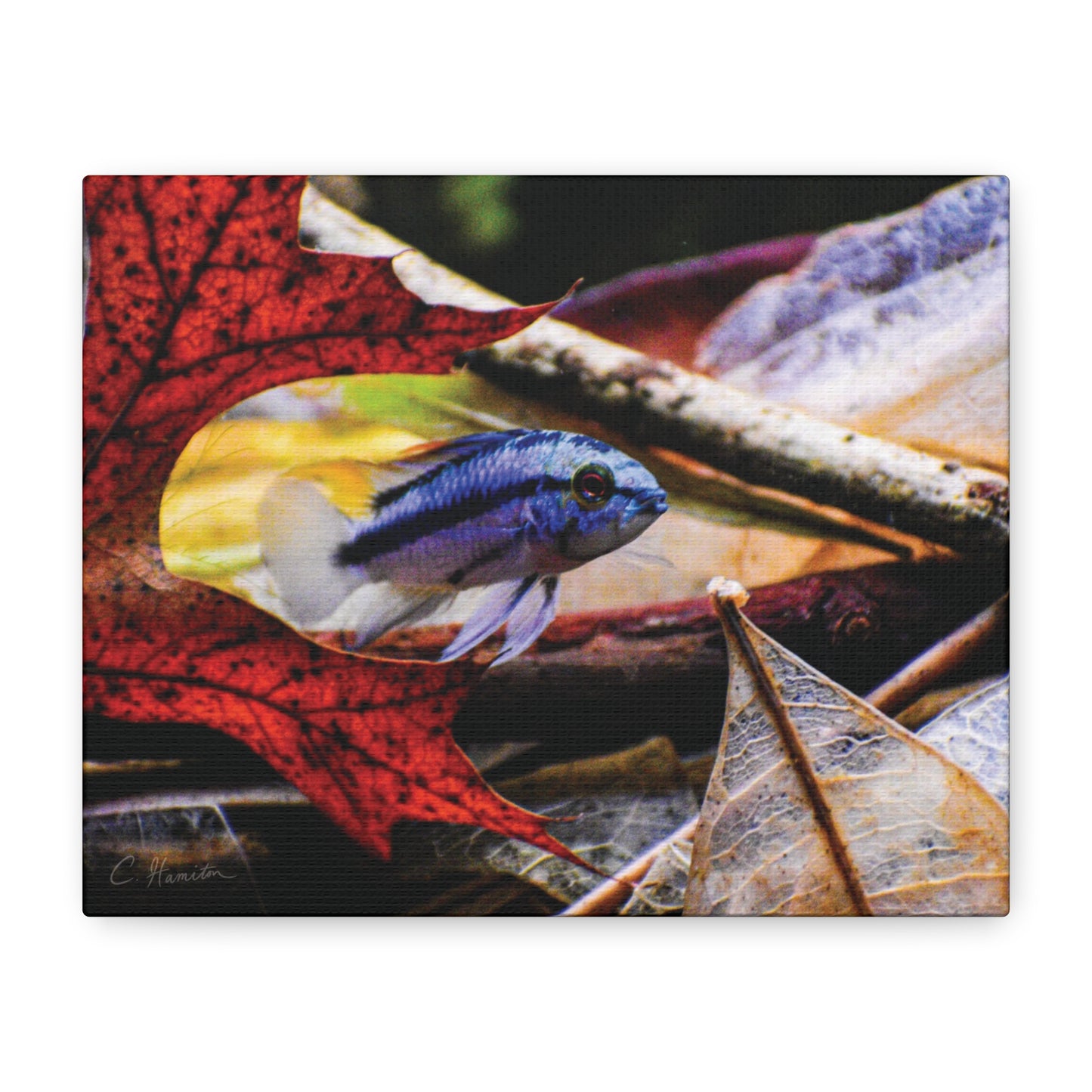 INSTINCT. Depth — Red Leaf
