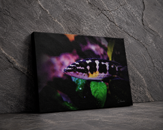 INSTINCT. Depth — Dark Current