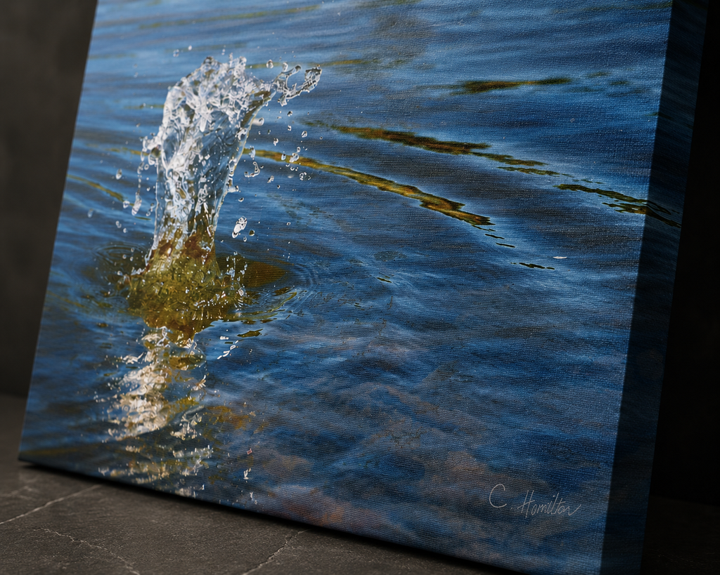 INSTINCT. Canvas — Surface Break