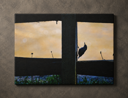 INSTINCT. Depth — Window Watch