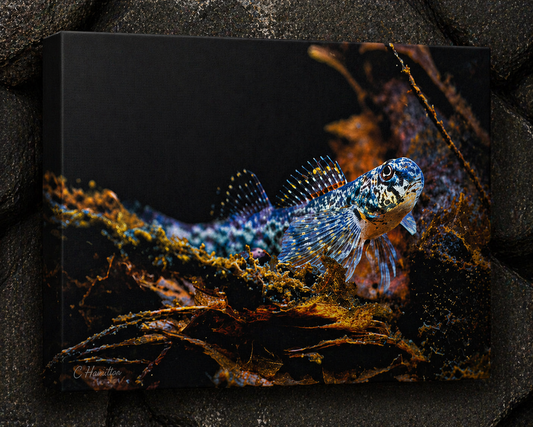 INSTINCT. Depth — Leaf Litter
