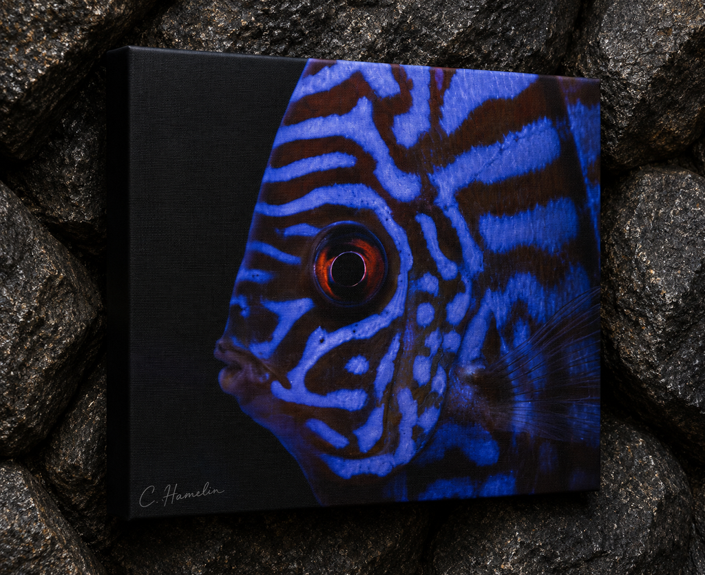 INSTINCT. Depth — Controlled Pattern