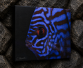 INSTINCT. Depth — Controlled Pattern