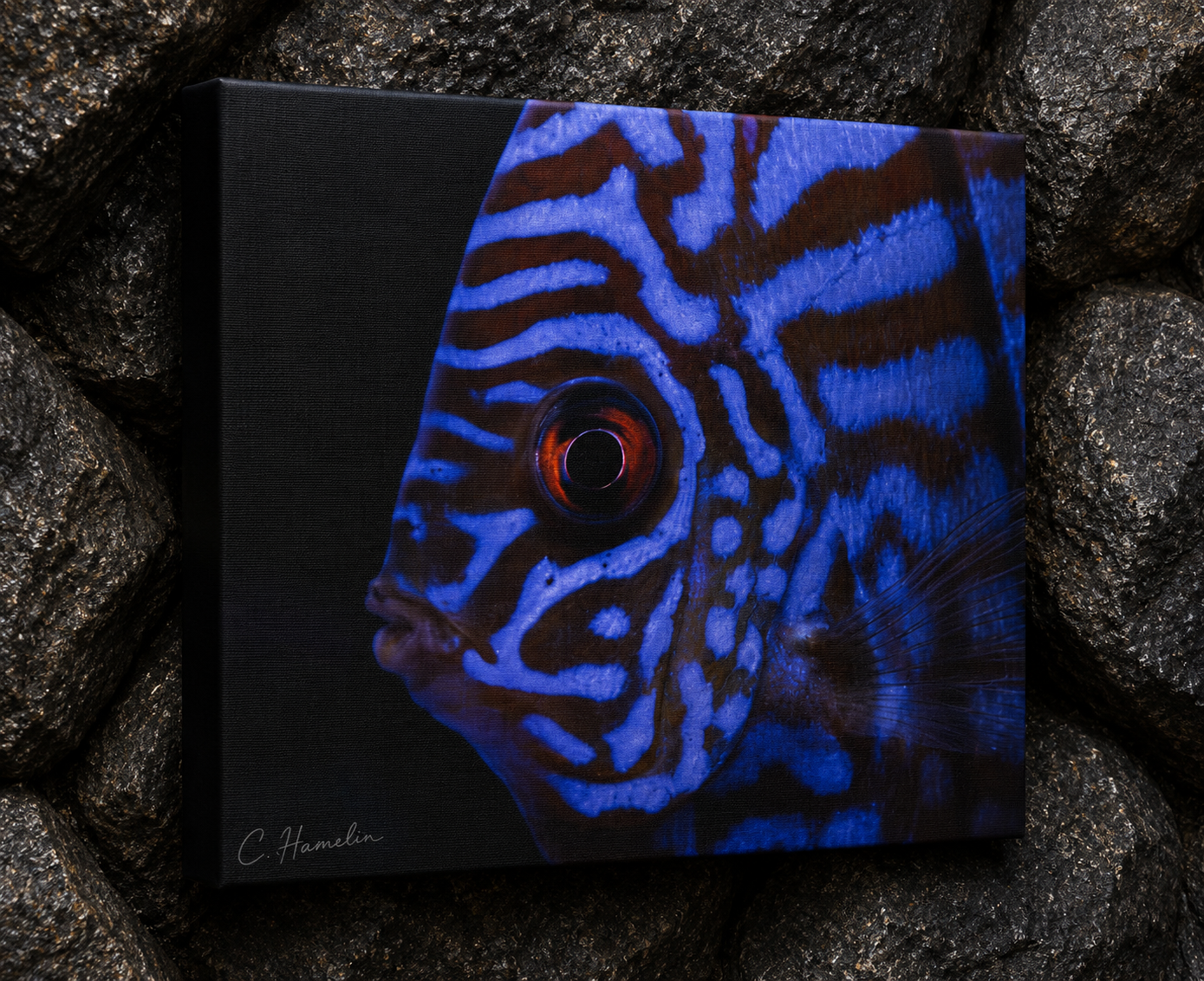 INSTINCT. Depth — Controlled Pattern