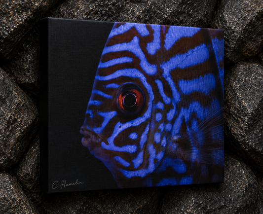 INSTINCT. Depth — Controlled Pattern