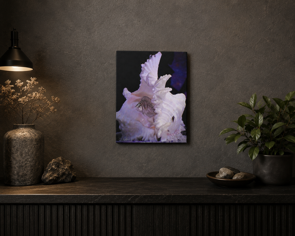 INSTINCT. Canvas — Shellbound