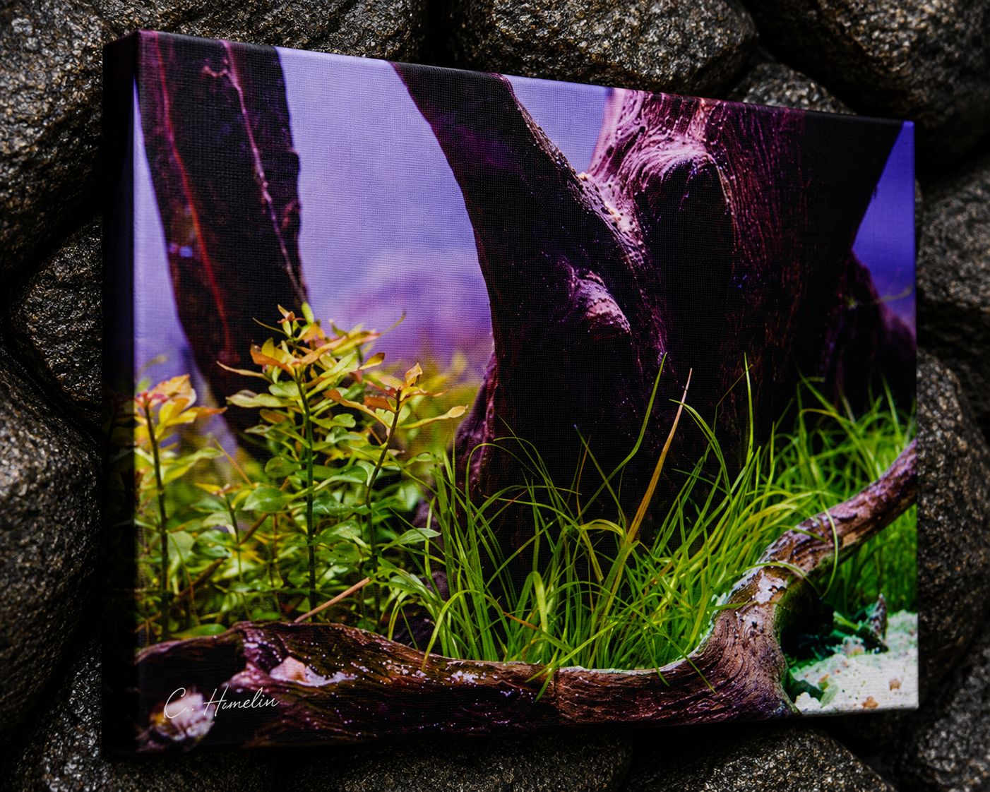INSTINCT. Depth — Rooted