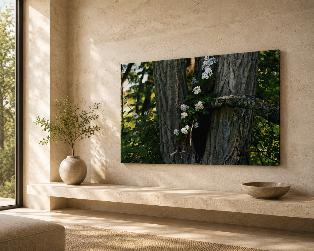 INSTINCT. Canvas — Rooted Renewal