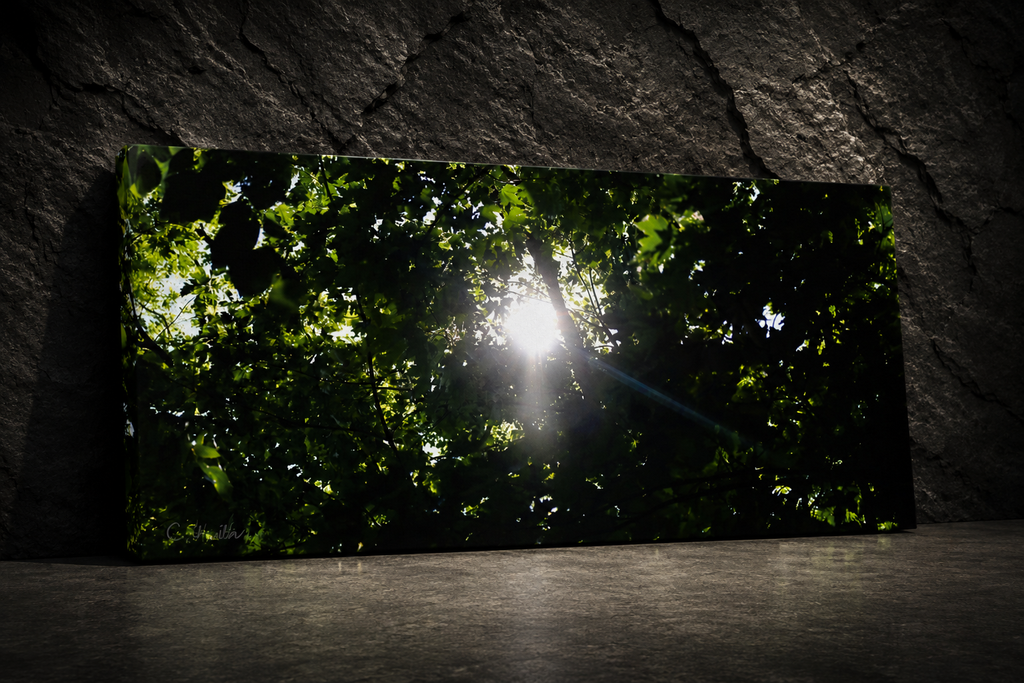 INSTINCT. Canvas — Light Through The Dark