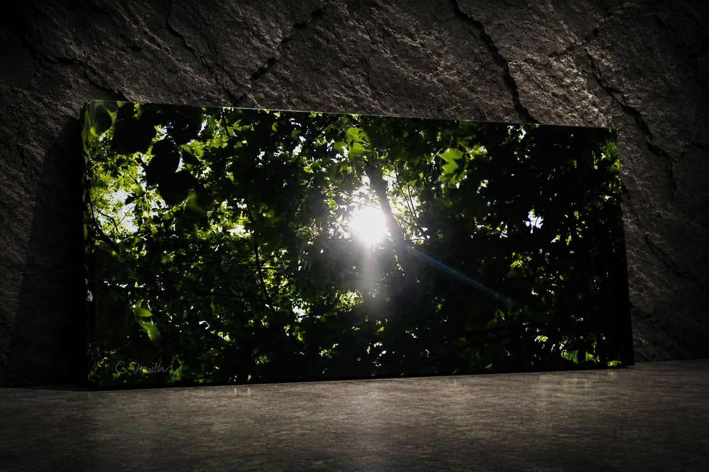 INSTINCT. Depth — Light Through The Dark